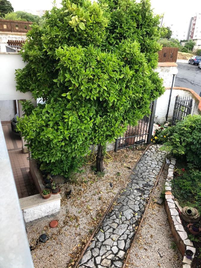 B&B San Liborio Civitavecchia Exterior foto